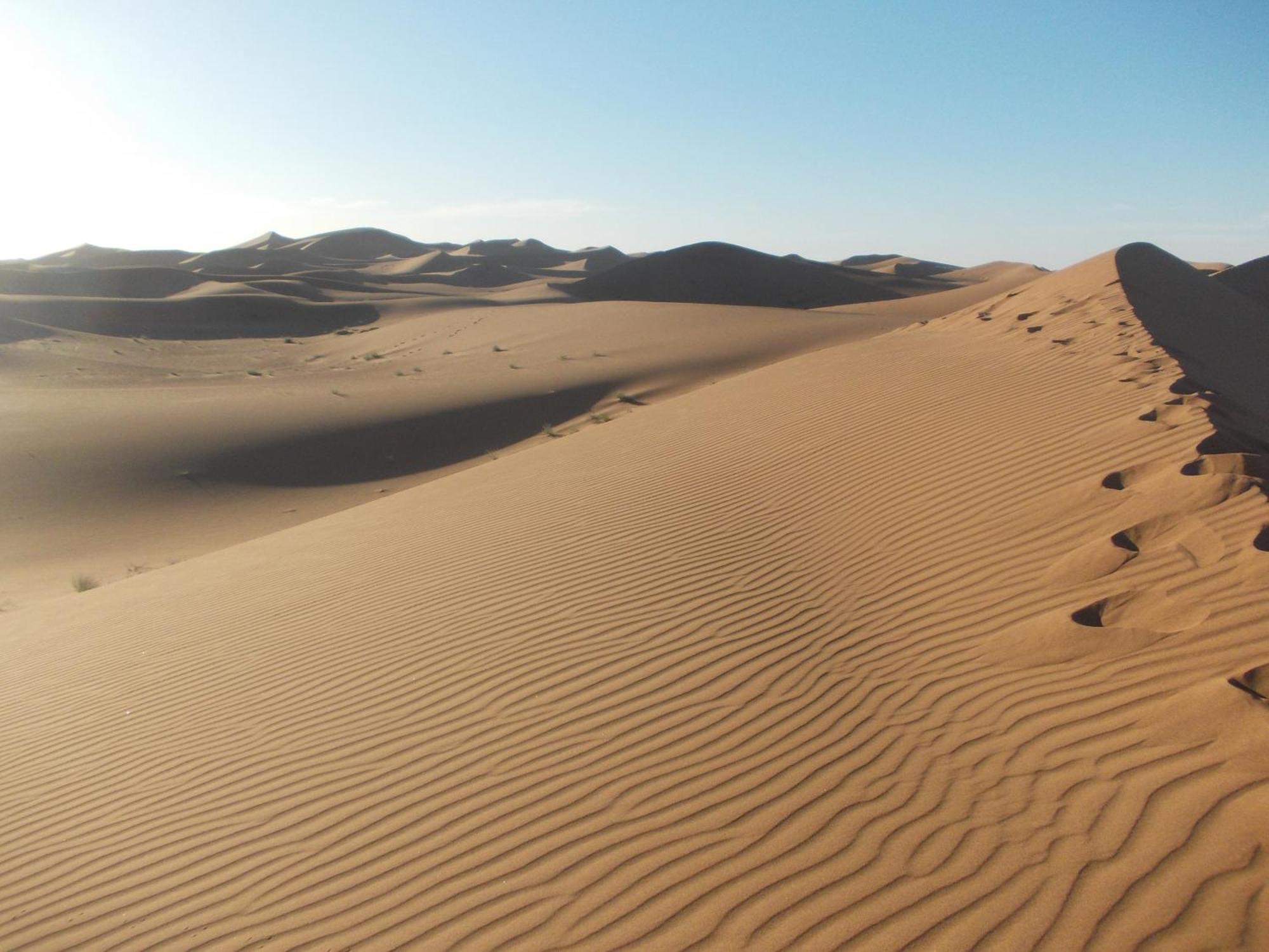 Bivouac Draa Hotel Zagora Eksteriør billede